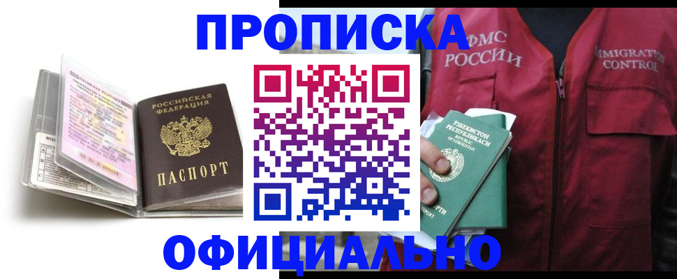 прописка 2025 в Кольчугино